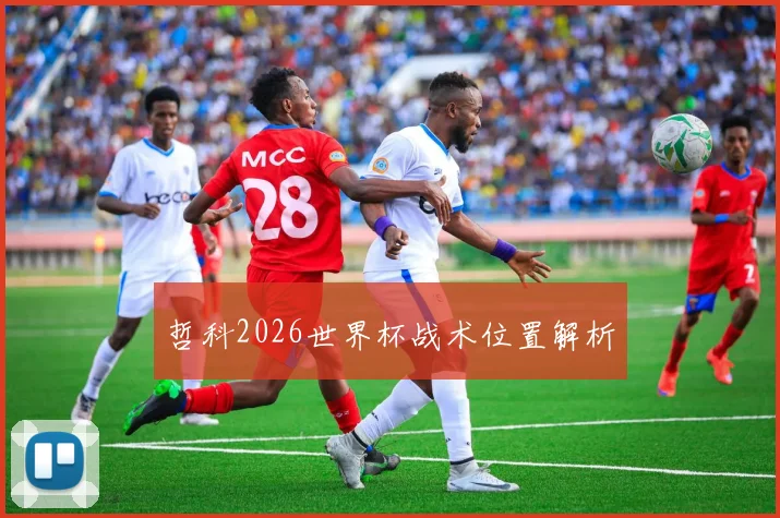 哲科2026世界杯战术位置解析