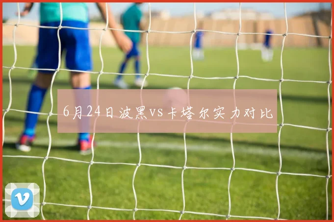 6月24日波黑vs卡塔尔实力对比