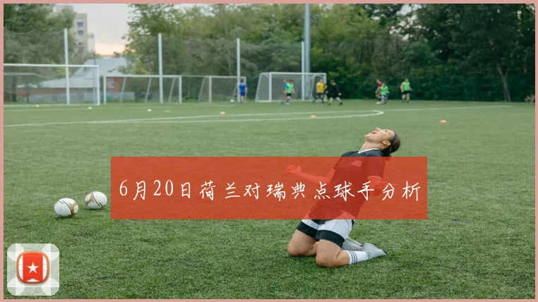 6月20日荷兰对瑞典点球手分析
