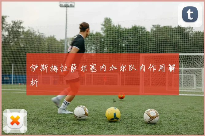 伊斯梅拉萨尔塞内加尔队内作用解析